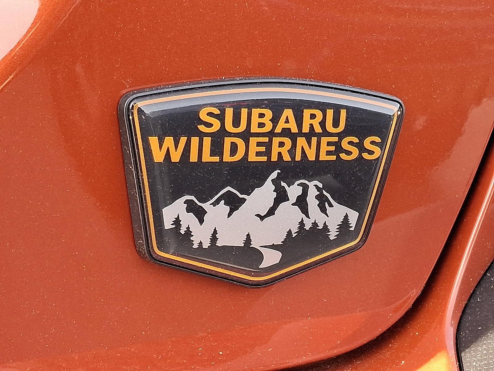 2025 Subaru Crosstrek Vehicle Photo in Easton, PA 18045