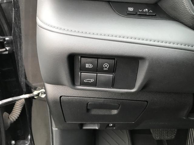 2023 Toyota Highlander Vehicle Photo in GREEN BAY, WI 54303-3330