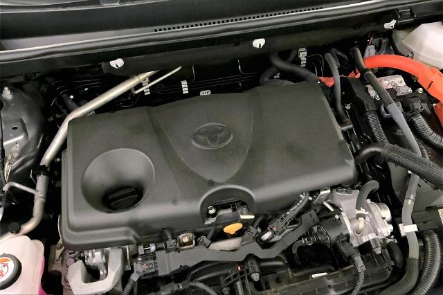 2022 Toyota RAV4 Vehicle Photo in Lees Summit, MO 64086