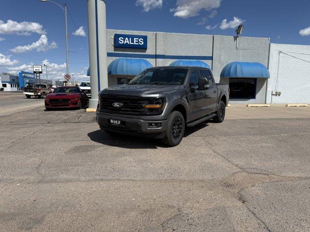 2025 Ford F-150 Vehicle Photo in Ogallala, NE 69153