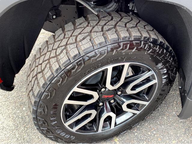 2025 GMC Sierra 1500 Vehicle Photo in BEAUFORT, SC 29906-4218