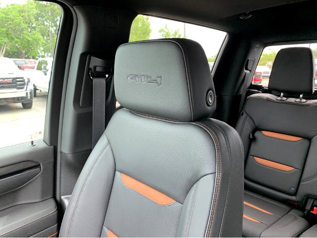 2025 GMC Sierra 1500 Vehicle Photo in BEAUFORT, SC 29906-4218