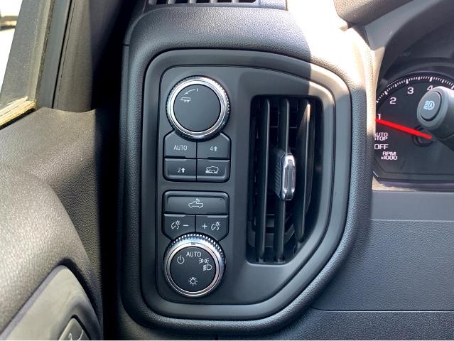 2025 GMC Sierra 1500 Vehicle Photo in BEAUFORT, SC 29906-4218