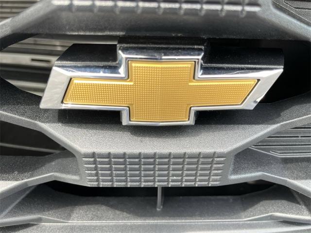 2023 Chevrolet Silverado 1500 Vehicle Photo in TULLY, NY 13159-3159