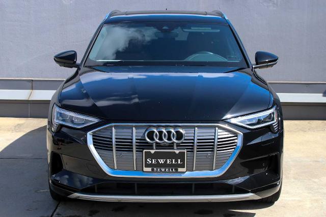 2022 Audi e-tron Vehicle Photo in SUGAR LAND, TX 77478