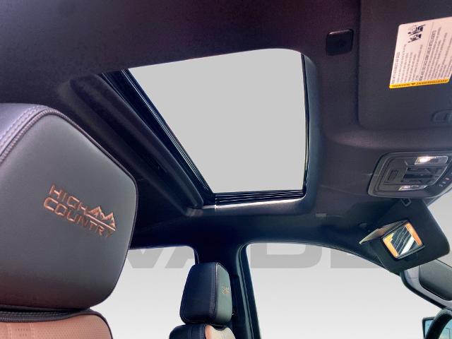 2025 Chevrolet Silverado 1500 Vehicle Photo in SAVANNAH, GA 31406-4513