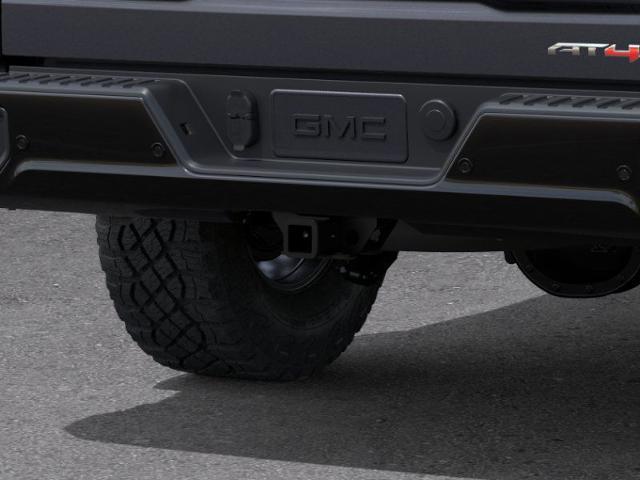 2025 GMC Sierra 1500 Vehicle Photo in DANBURY, CT 06810-5034