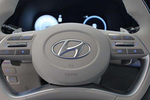 2024 Hyundai PALISADE Vehicle Photo in Green Bay, WI 54304