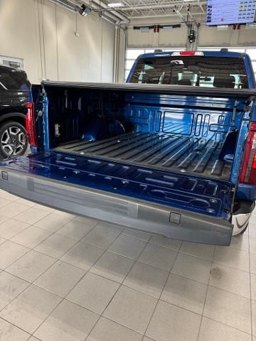 2024 Ford F-150 Vehicle Photo in Peoria, IL 61615