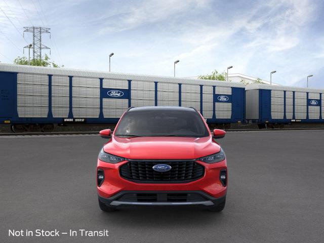 2024 Ford Escape Vehicle Photo in Winslow, AZ 86047-2439