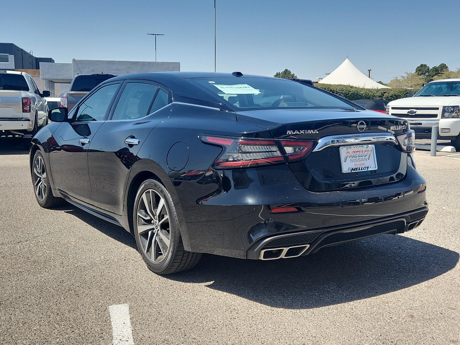 2023 Nissan Maxima Vehicle Photo in Albuquerque, NM 87110