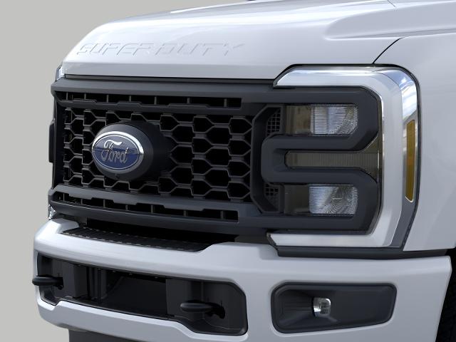2025 Ford Super Duty F-350 SRW Vehicle Photo in Oshkosh, WI 54901