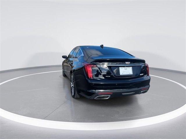 2023 Cadillac CT5 Vehicle Photo in BOWLING GREEN, KY 42104-4102