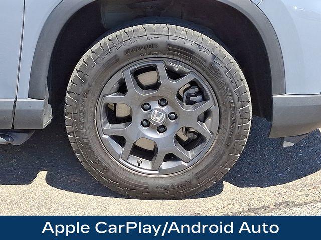 2023 Honda Pilot Vehicle Photo in DANBURY, CT 06810-5034