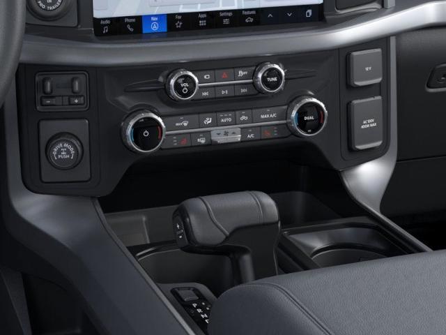 2025 Ford F-150 Vehicle Photo in Weatherford, TX 76087