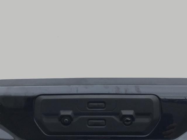 2025 GMC Sierra 1500 Vehicle Photo in GREEN BAY, WI 54303-3330
