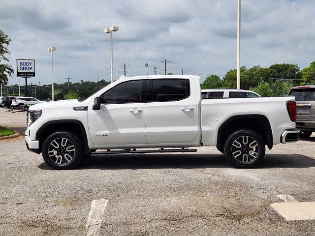 2023 GMC Sierra 1500 Vehicle Photo in DENTON, TX 76210-9321