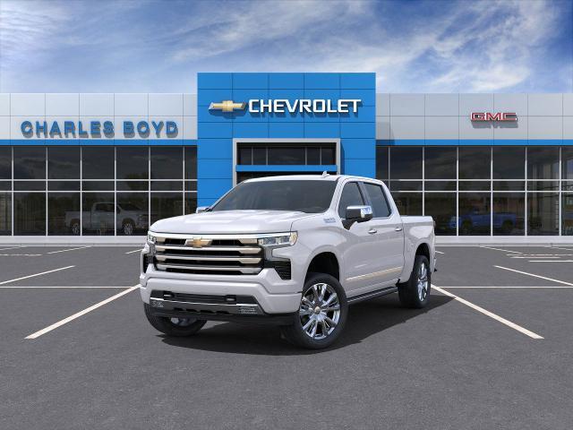 2025 Chevrolet Silverado 1500 Vehicle Photo in HENDERSON, NC 27536-2966