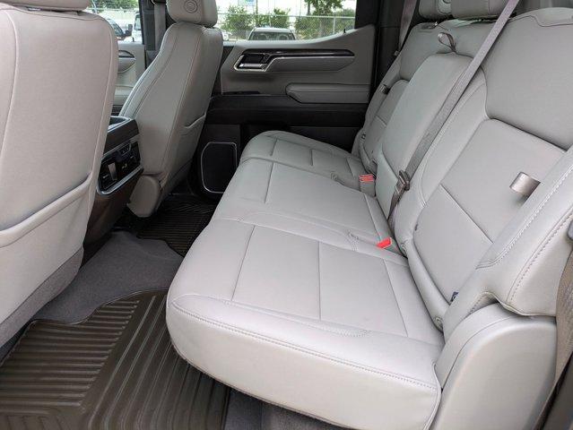 2023 Chevrolet Silverado 1500 Vehicle Photo in SELMA, TX 78154-1459
