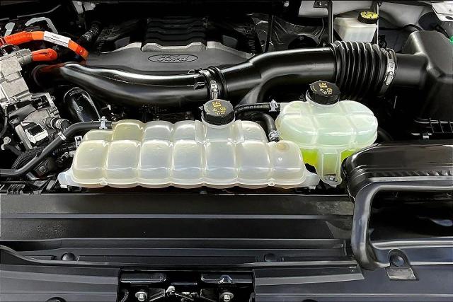 2022 Ford F-150 Vehicle Photo in San Antonio, TX 78230