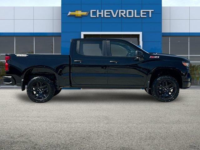 2024 Chevrolet Silverado 1500 Vehicle Photo in RIVERSIDE, CA 92504-4106