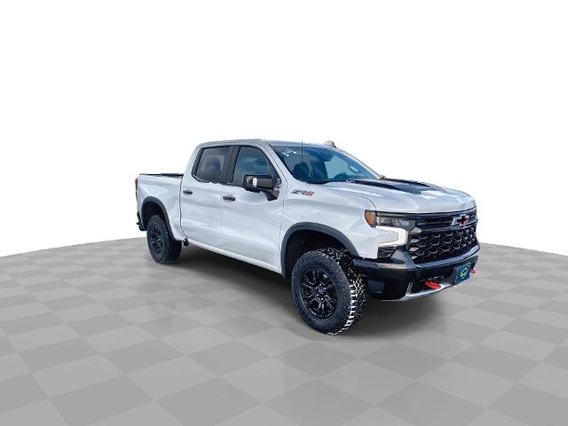 2022 Chevrolet Silverado 1500 Vehicle Photo in WILLIAMSVILLE, NY 14221-2883