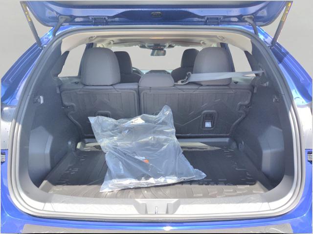 2025 Subaru Crosstrek Vehicle Photo in Green Bay, WI 54304