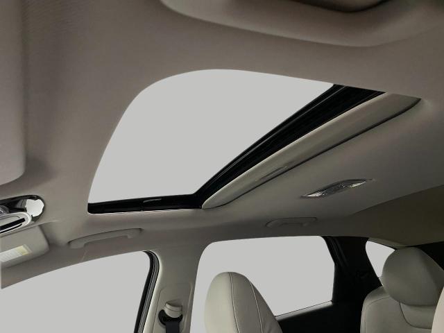 2025 Hyundai TUCSON Vehicle Photo in Appleton, WI 54913