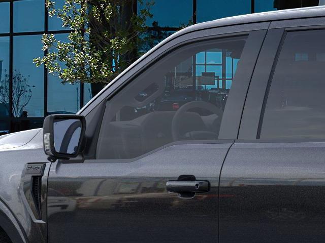 2025 Ford F-150 Vehicle Photo in Weatherford, TX 76087