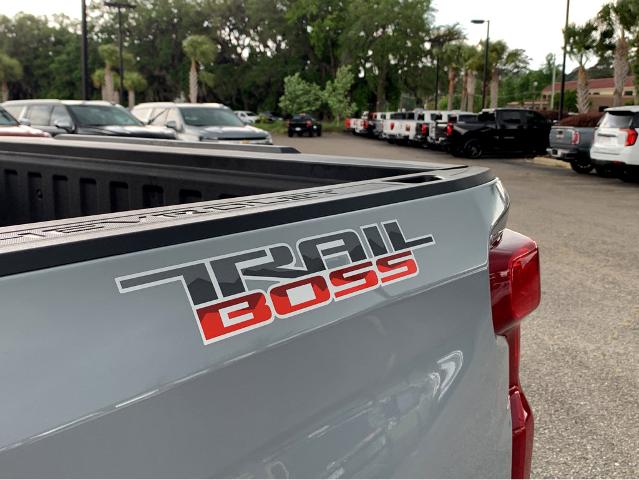 2025 Chevrolet Silverado 1500 Vehicle Photo in BEAUFORT, SC 29906-4218