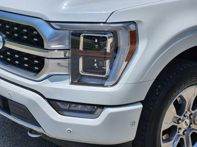 2022 Ford F-150 Vehicle Photo in DENTON, TX 76210-9321