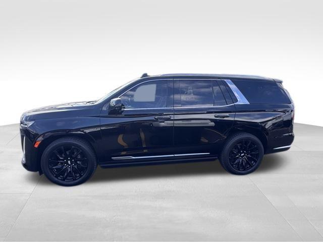 2021 Cadillac Escalade Vehicle Photo in DELRAY BEACH, FL 33483-3294