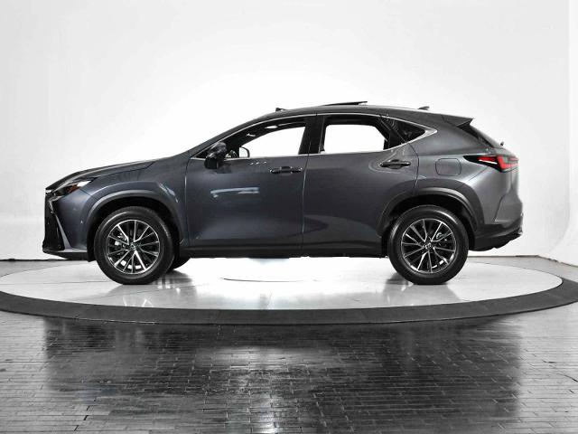2024 Lexus NX 350h Vehicle Photo in DALLAS, TX 75235