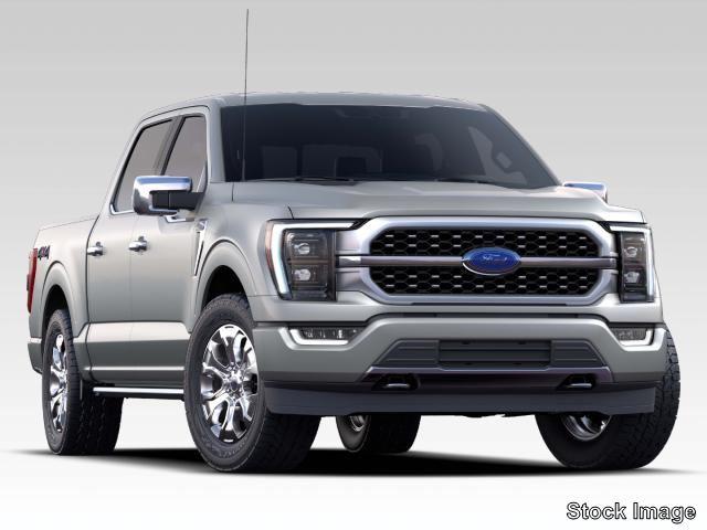 2022 Ford F-150 Vehicle Photo in TAMPA, FL 33612-3404