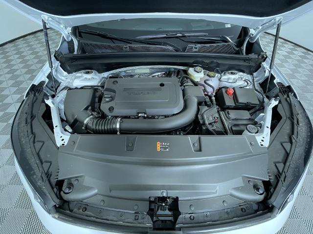 2025 Buick Envision Vehicle Photo in GILBERT, AZ 85297-0402