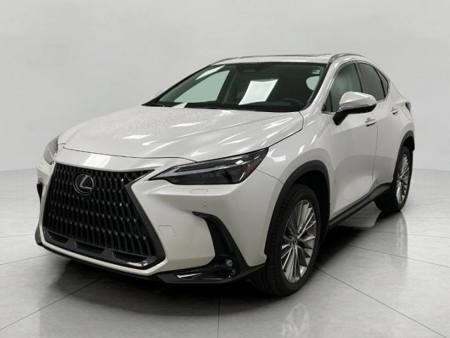 2024 Lexus NX 350 Vehicle Photo in Appleton, WI 54913