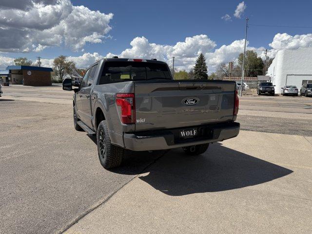 2025 Ford F-150 Vehicle Photo in Ogallala, NE 69153