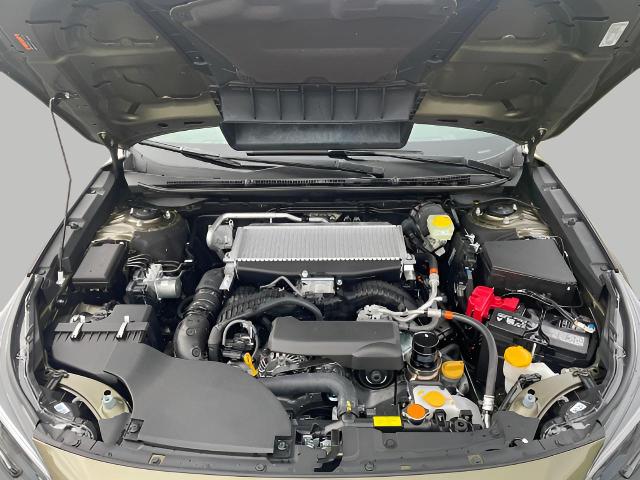 2025 Subaru Outback Vehicle Photo in Oshkosh, WI 54904