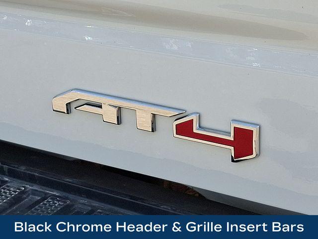 2024 GMC Sierra 1500 Vehicle Photo in PAWLING, NY 12564-3219