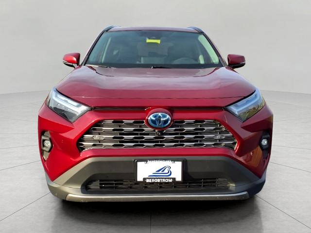 2022 Toyota RAV4 Vehicle Photo in Appleton, WI 54914