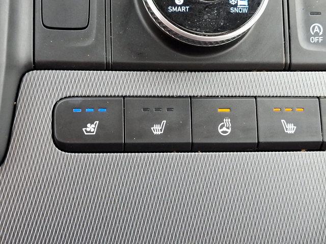 2024 Hyundai PALISADE Vehicle Photo in Philadelphia, PA 19116