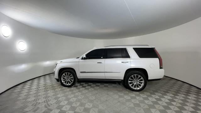 2018 Cadillac Escalade Vehicle Photo in GILBERT, AZ 85297-0402