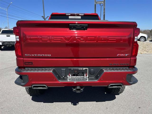 2023 Chevrolet Silverado 1500 Vehicle Photo in ALCOA, TN 37701-3235