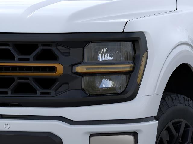 2025 Ford F-150 Vehicle Photo in Neenah, WI 54956