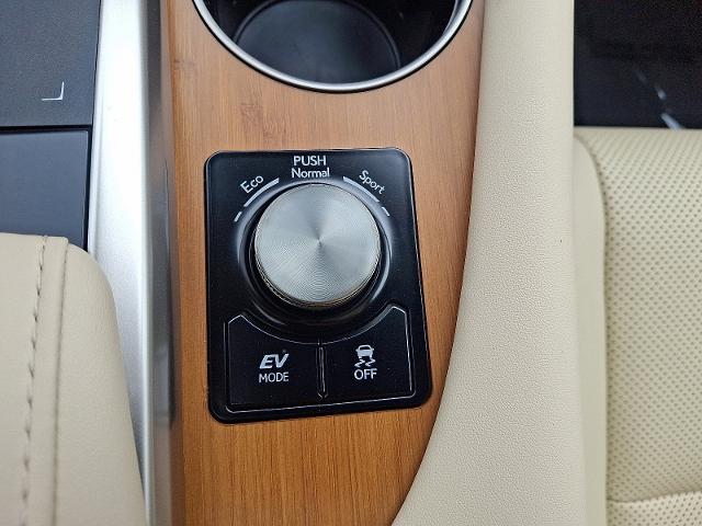 2020 Lexus RX Vehicle Photo in HARRISBURG, PA 17111-1033