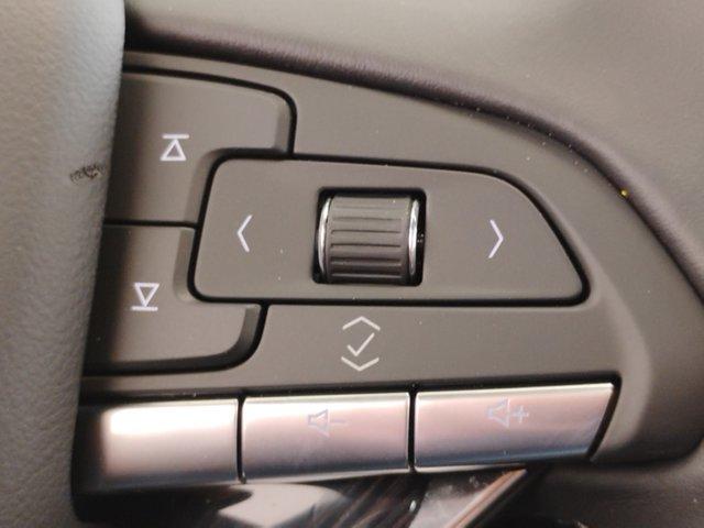 2024 Cadillac XT6 Vehicle Photo in PINEVILLE, NC 28134-8495