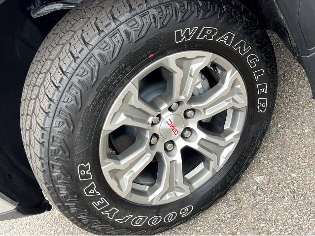 2024 GMC Sierra 1500 Vehicle Photo in BEAUFORT, SC 29906-4218