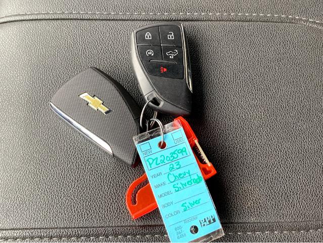2023 Chevrolet Silverado 1500 Vehicle Photo in BEAUFORT, SC 29906-4218
