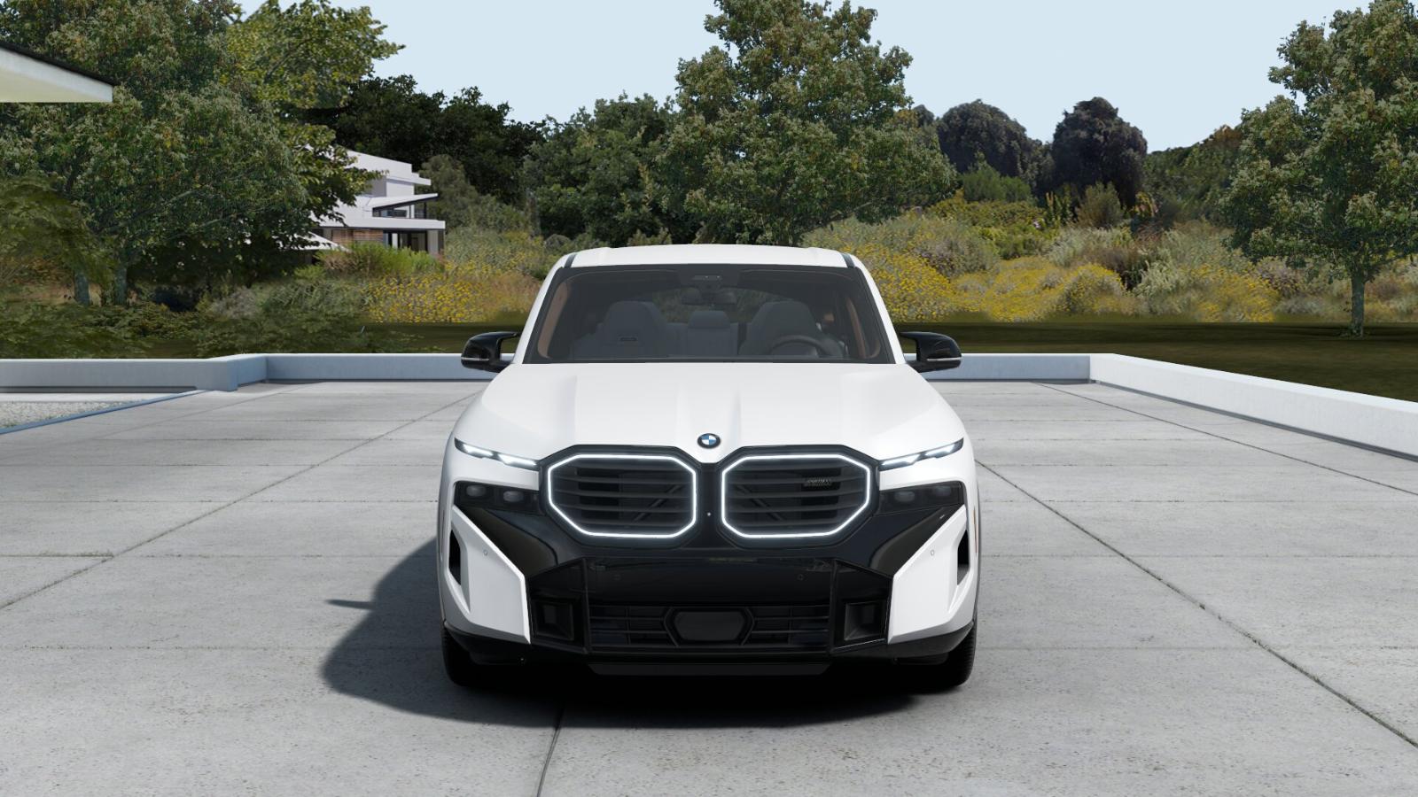 2025 BMW XM Vehicle Photo in GRAPEVINE, TX 76051