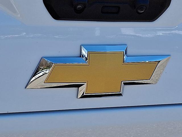 2024 Chevrolet Silverado 2500 HD Vehicle Photo in DANBURY, CT 06810-5034